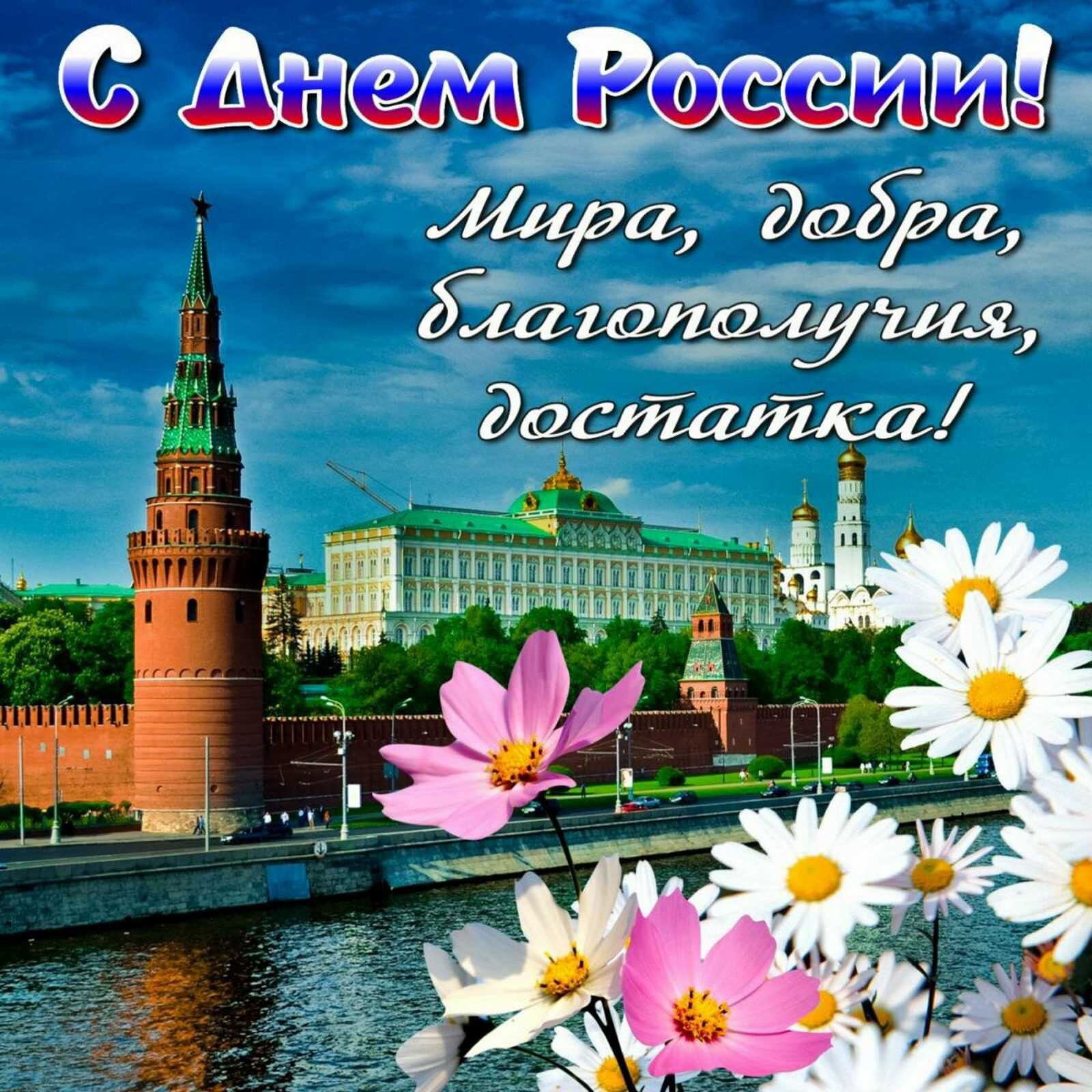 IMG 8390 12 06 21 10 49